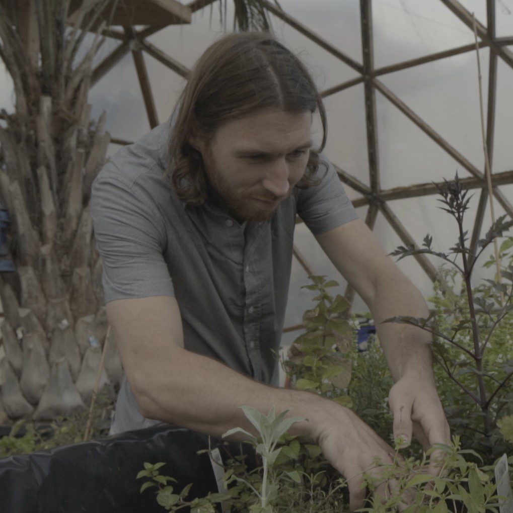 Niall O'Brien the Grow Dome